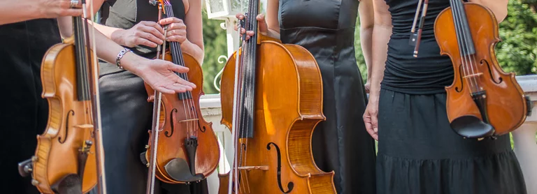 Streichquartett Amore - vier Streichinstrumente